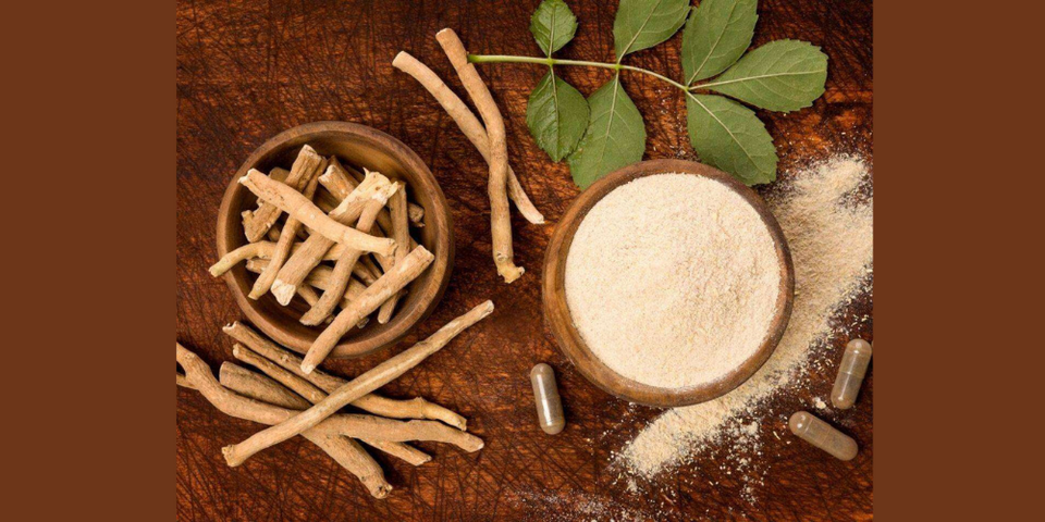 Unraveling the Wonders of Ashwagandha: Benefits, Drawbacks, and Considerations