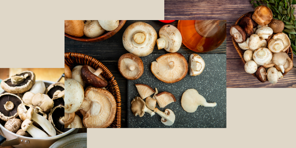 Mushroom Complex 10X: A Comprehensive Analysis of Benefits, Side Effects, and Safety as a Dietary Supplement